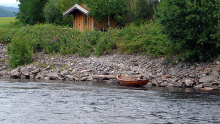 orkla2005-2