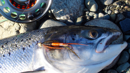 Conehead tubefly did the trick...