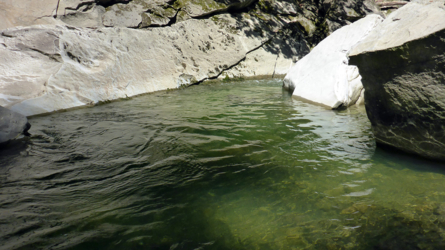 nice pool but no fish found in it...