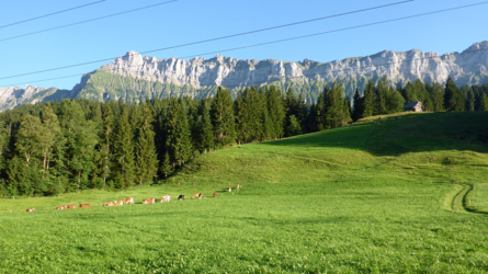 Der Blick auf den Hohgant...