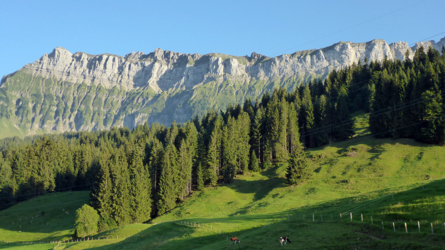 Und noch einmal der Hohgant.