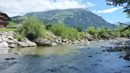 Schöner Pool, aber kein Biss...