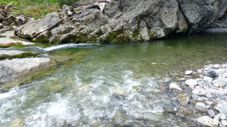 Sauerstoff = Fischstandorte