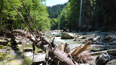 Natur pur...