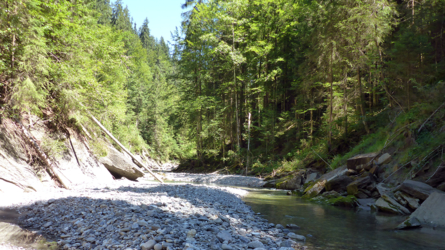 Bei Hochwasser möchte man lieber nicht in dieser kleinen Schlucht sein...