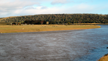 Der Rio Grande - Hochwasser und Schokofarbe...