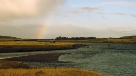 Regenbogenwetter...