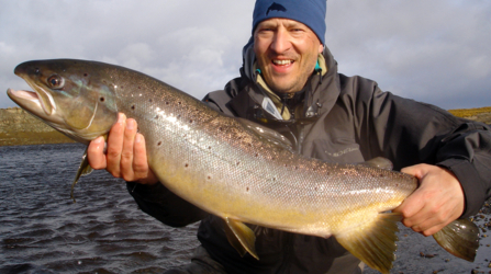 what a beautiful fish...