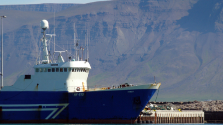 Hafen Reykjavik und dahinter der erste Berg