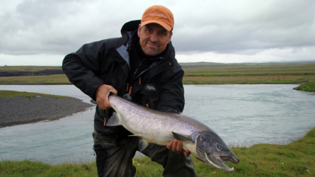 Beautiful salmon...Sonntagsfisch 93cm, 8.4kg