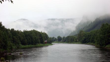 War das ein Sauwetter...