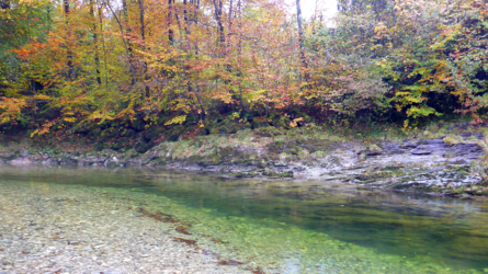 rettenbach_2016-12