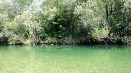 sava_2010-6