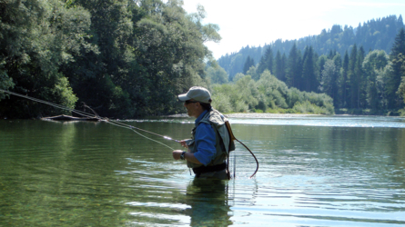 sava_2010-8