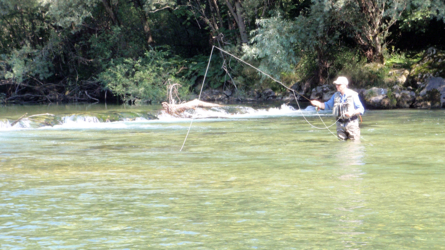 sava_2010-9