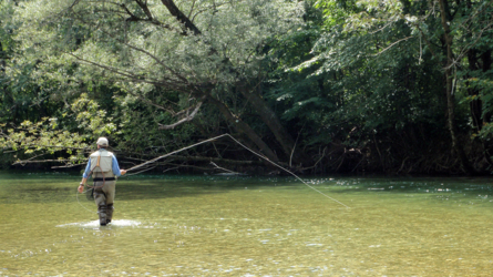 sava_2010-12
