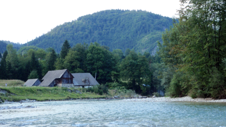 sava_2010-16