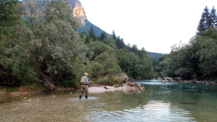 sava_2010-18