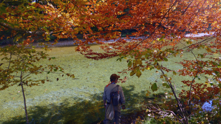 Herbst an der Weissen Traun...