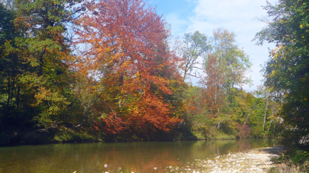 Prächtige Herbstfarben