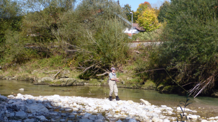 Stalking for trout