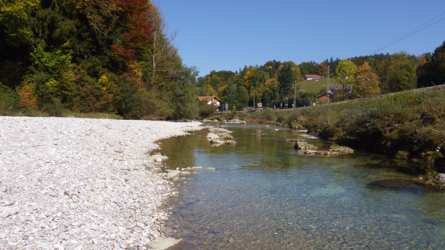 Herbstwasserstand an der Weissen Traun