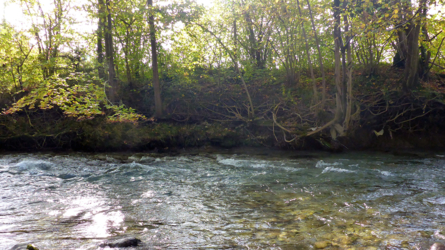 Schnelles Wasser im unteren Streckenabschnitt