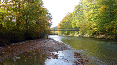 Schöne Fische in diesem Lauf...