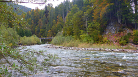 Herbst an der Gail...