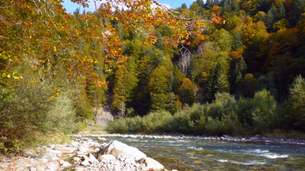 Sensationelle Herbstfarben