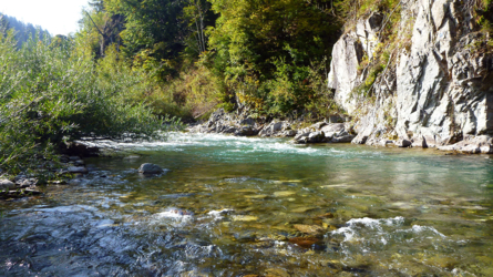 Sehr schöner Pool