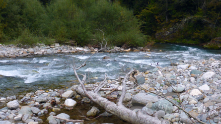 Wildwasserpartie in der Gailschlucht.