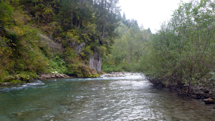 Aeschenlauf