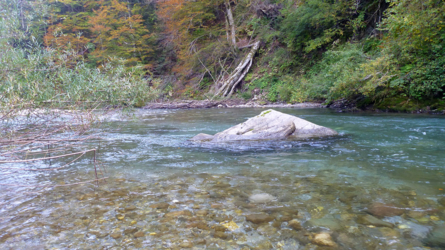 Natur pur