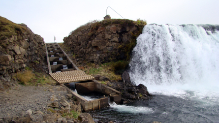 Die Fischtreppe bei den Faxi Falls, die bestens funktioniert.