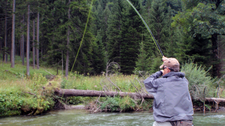 Fish on ....