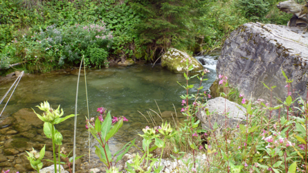 wunderschöne Pools...