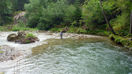 Sylvie trotzt dem Regen und fischt hart weiter...