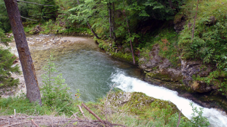 Pool von oben...