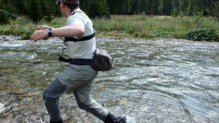 ...ich muss dem Fisch hinterher...