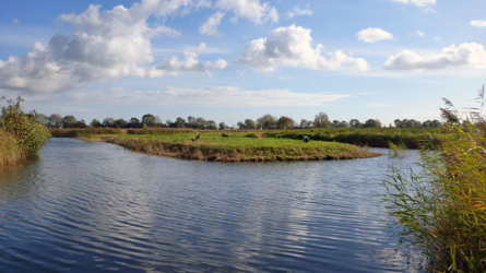 holland_2012-15
