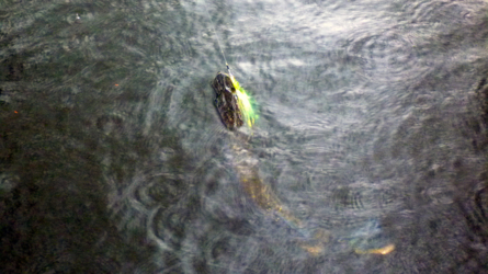 Und wieder am Fischen, dieses Mal mit Graupelschauern...