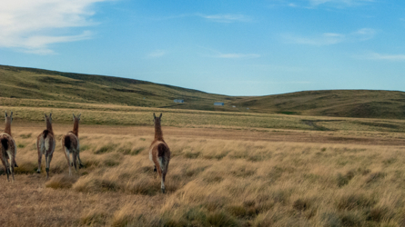 riogrande_2009-84