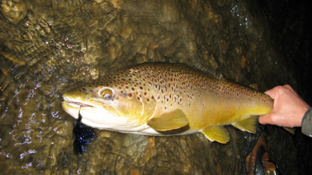 riogrande_2009-127