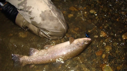 riogrande_2009-148