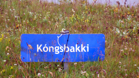 storalaxa2011-57
