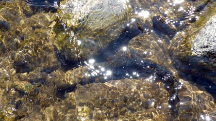 passer2019-11