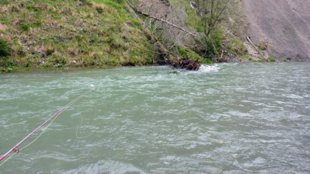 loisach2019-3