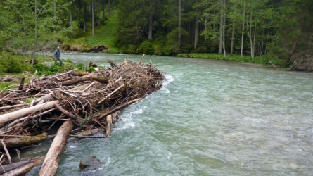 loisach2019-6