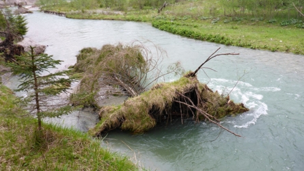 loisach2019-25
